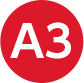 A3